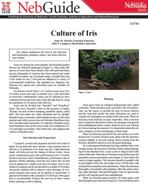 Culture of Iris